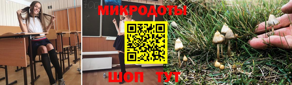 Тавда  Галлюциногенные грибы ЛСД  Вход с VPN 