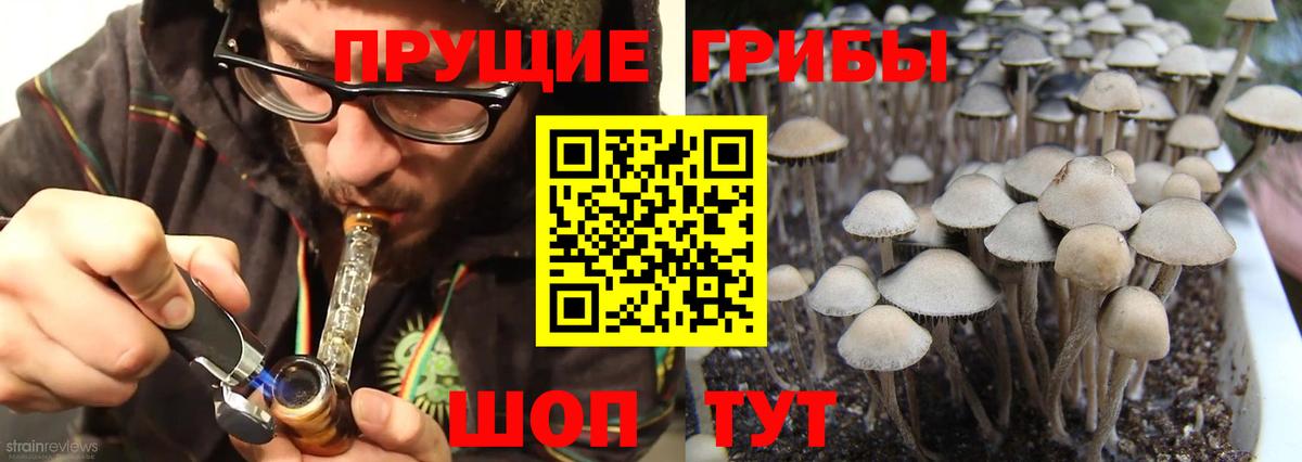 Галлюциногенные грибы прущие грибы Тавда
